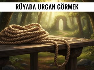 "Rüyada Urgan Görmek"