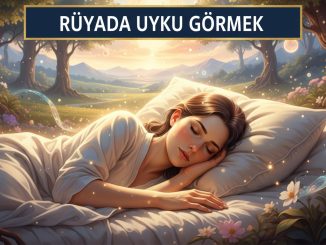 "Rüyada Uyku Görmek"