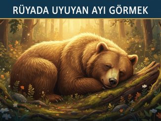 "Rüyada Uyuyan Ayı Görmek"
