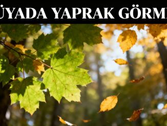"Rüyada Yaprak Görmek"