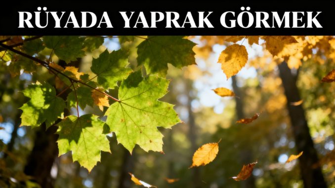 "Rüyada Yaprak Görmek"