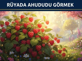 "Rüyada Ahududu Görmek"