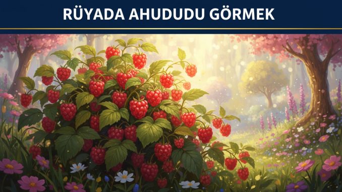 "Rüyada Ahududu Görmek"