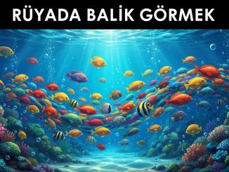 "Rüyada Balık Görmek"