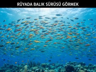 "Rüyada Balık Sürüsü Görmek"