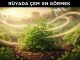 "Rüyada Çemen Görmek"