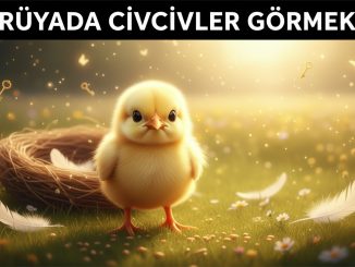 "Rüyada Civciv Görmek"