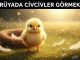 "Rüyada Civciv Görmek"