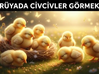 "Rüyada Civcivler Görmek"