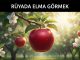 "Rüyada Elma Görmek"