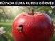 "Rüyada Elma Kurdu Görmek"