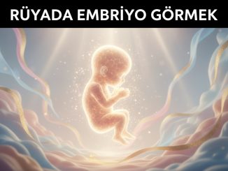 "Rüyada Embriyo Görmek"