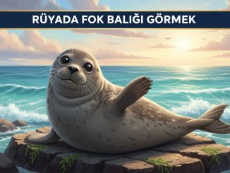 "Rüyada Fok Balığı Görmek"