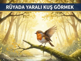 "Rüyada Yaralı Kuş Görmek"