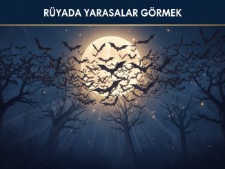 "Rüyada Yarasalar Görmek"