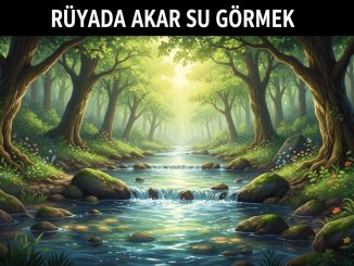 "Rüyada Akar Su Görmek""