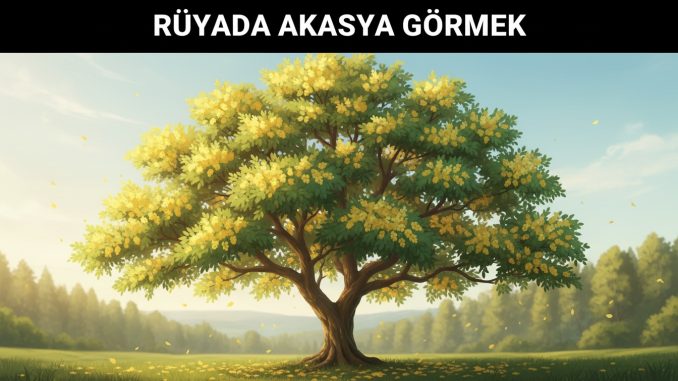 "Rüyada Akasya Görmek"