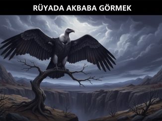 "Rüyada Akbaba Görmek"