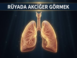 "Rüyada Akciğer Görmek"