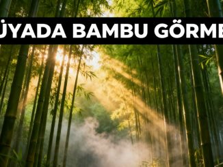 "Rüyada Bambu Görmek"