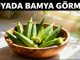 "Rüyada Bamya Görmek"