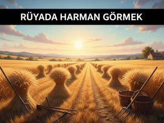 "Rüyada Harman Görmek"