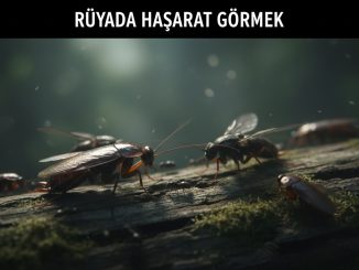 "Rüyada Haşarat Görmek"