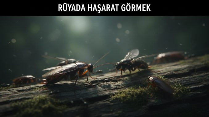 "Rüyada Haşarat Görmek"