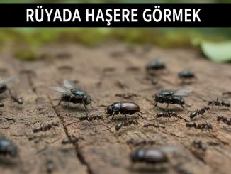 "Rüyada Haşere Görmek"