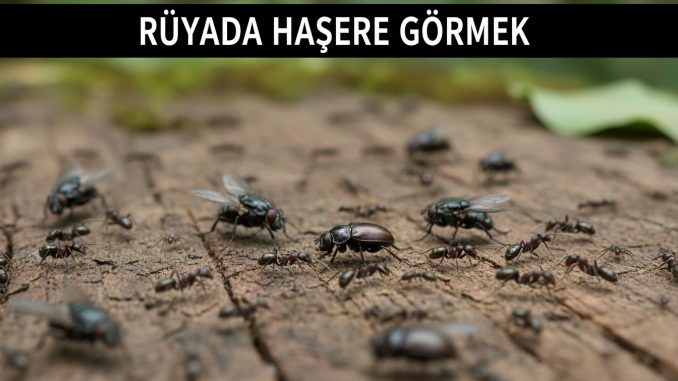 "Rüyada Haşere Görmek"