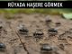"Rüyada Haşere Görmek"
