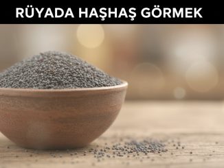 "Rüyada Haşhaş Görmek"