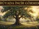 "Rüyada İncir Görmek"