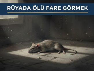 "Rüyada Ölü Fare Görmek"