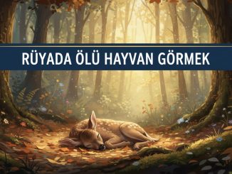 "Rüyada Ölü Hayvan Görmek"