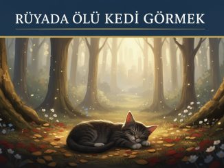 "Rüyada Ölü Kedi Görmek"