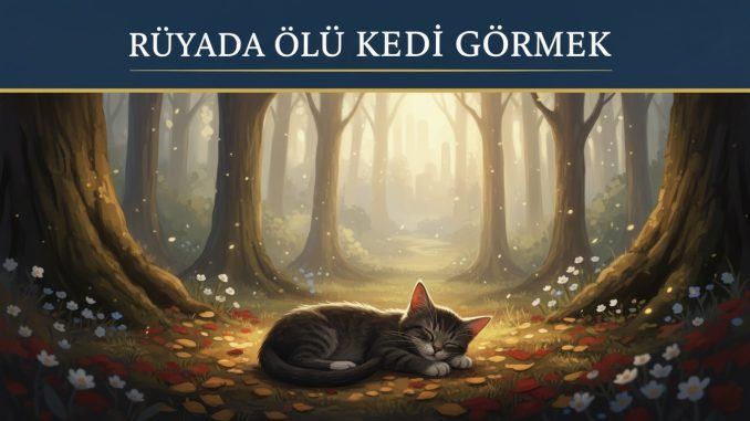 "Rüyada Ölü Kedi Görmek"