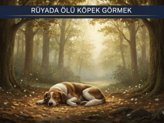 "Rüyada Ölü Köpek Görmek"