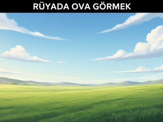 "Rüyada Ova Görmek"