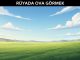 "Rüyada Ova Görmek"