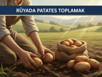 "Rüyada Patates Toplamak"