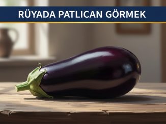 "Rüyada Patlıcan Görmek"