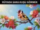 "Rüyada Saka Kuşu Görmek"