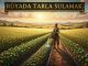 "Rüyada Tarla Sulamak"